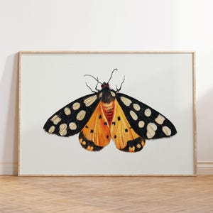 Vintage Print of Butterfly Moth, Landscape Horizontal Print, Vintage Printable Poster, Trendy Eclectic Wall Decor Digital Download