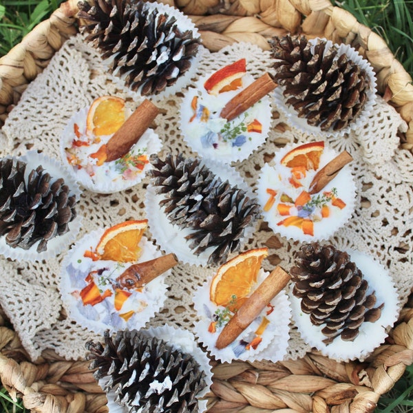 Sustainable Camp Fire Starters with Dried Flowers, Cinnamon, Pine Cones