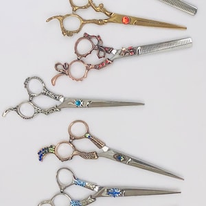 Barber Salon Hair Cutting Ciseaux Dragon Cisailles