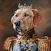 see more listings in the Male Pet Portraits section