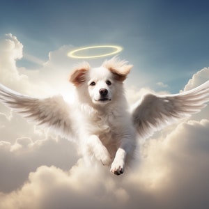 Custom Pet Portrait, Dog Angel, Custom Cat Portrait, Custom Pet Portrait, Cat Portrait, Pet Memorial Gift, Dog Mom Gift, Pet Loss Gifts