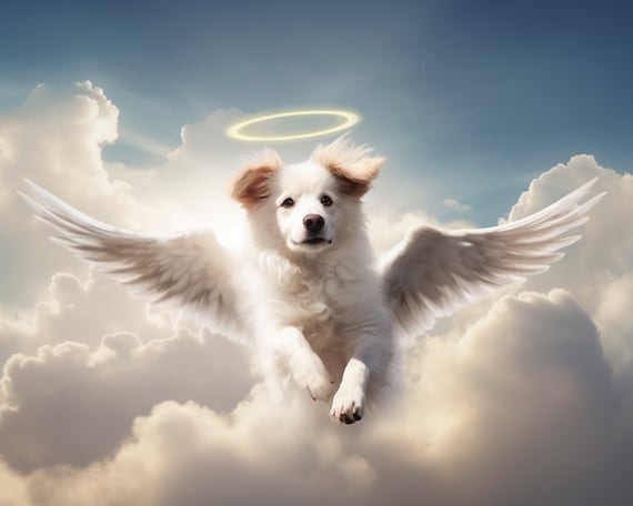 Custom Pet Memorial Portrait Angel Dog Wings Art Personalized Loss Gift Canvas