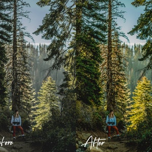 May include: A person wearing a blue shirt and red trousers stands on a path in a forest. The person is holding a camera and looking to the right. The forest is dense with tall trees and green foliage. The path is dirt and leads into the forest.