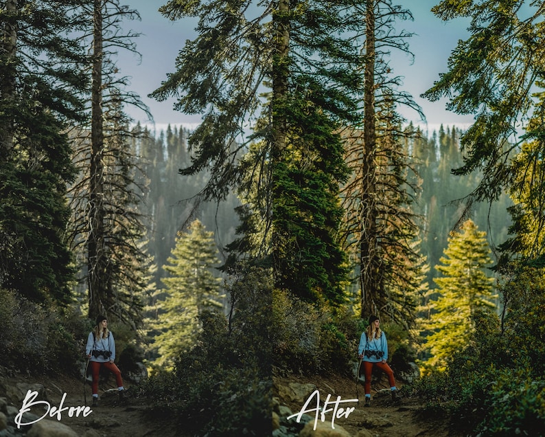May include: A person wearing a blue shirt and red trousers stands on a path in a forest. The person is holding a camera and looking to the right. The forest is dense with tall trees and green foliage. The path is dirt and leads into the forest.