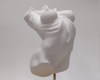 Plaster Torso Sculpture - Handmade Statue - Figurative Art - Female Anatomy Study - Core I