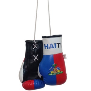 Haiti Boxing Glove / Haiti Flag /  Mini Haiti Boxing Glove