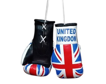 TITLE ボクシンググローブ ロッキー4アメリカ国旗デザイン 楽天市場】ボクシンググローブ タイトルボクシング Title Boxing