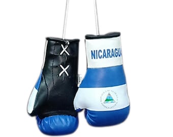 May include: A pair of black and blue boxing gloves with the Nicaraguan flag on one glove. The gloves are hanging from a string.