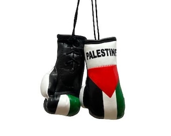 Mini Palestine Boxing Glove / Palestine Flag / Palestine Boxing Glove