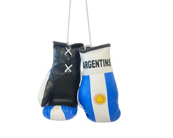 Argentina Boxing Glove / Argentina Flag /  Mini Argentina Boxing Glove