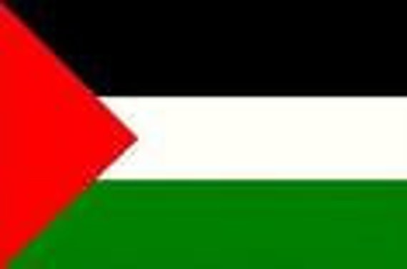 Palestine Flag 2x3 Feet - 100D Polyester, House Flag With Sturdy Fabric