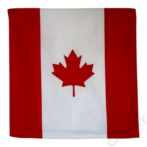 May include: A red and white Canadian flag with a large red maple leaf in the center.