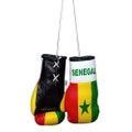 Senegal Boxing Glove / Senegal Flag /  Mini Senegal Boxing Glove