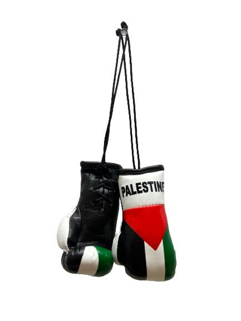 Mini Palestine Boxing Glove \/ Palestine Flag \/ Palestine Boxing Glove