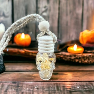 Skull Car Diffuser - Hanging car air freshener - scented air freshner hanging freshie gift car truck office home stocking stuffer