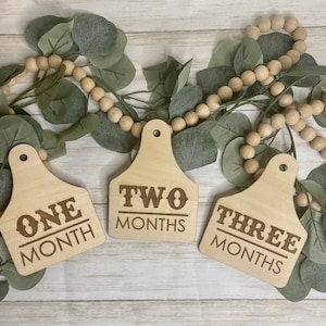 Cattle Tag Milestone Signs/Infant Signs/Monthly Photo Props