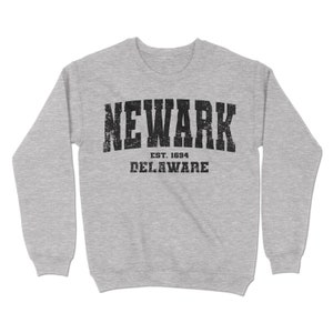 Newark, Delaware Sweatshirt. Newark, DE Vintage Unisex Crewneck Sweatshirt. YC
