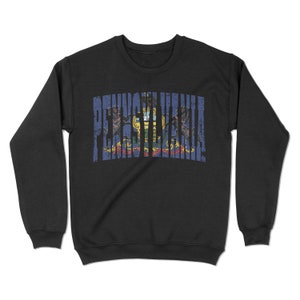 Sweatshirt met de vlag van Pennsylvania Vintage noodlijdende Pennsylvania. | Harrisburg, Pennsylvania. YC