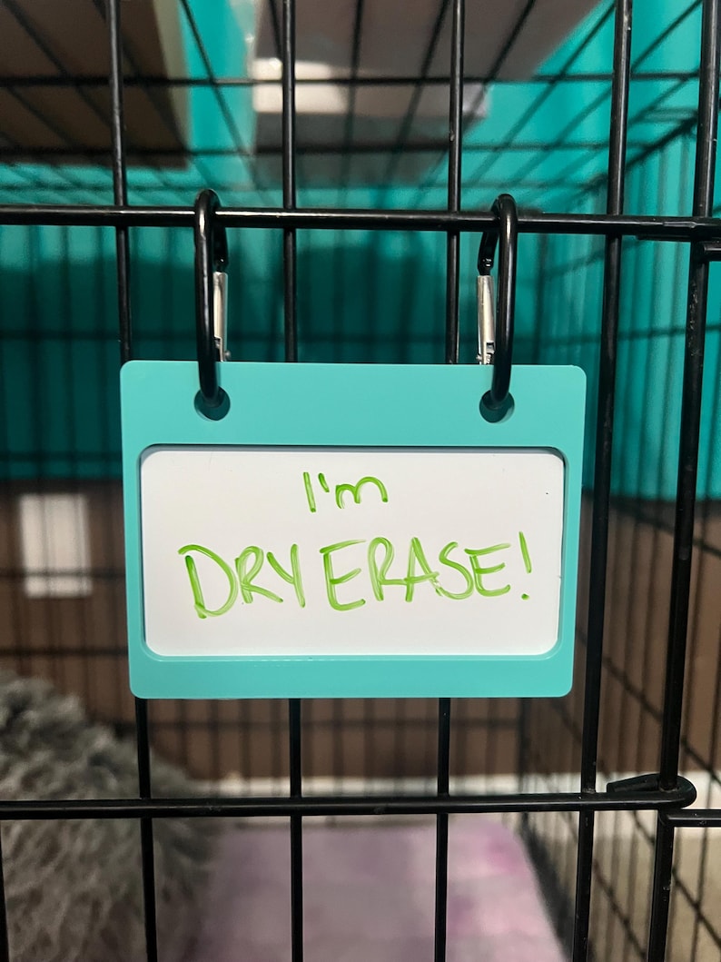 May include: A turquoise dry erase board with a white surface and black clips hanging on a black metal cage. The board says "I'm Dry Erase!" in green marker.
