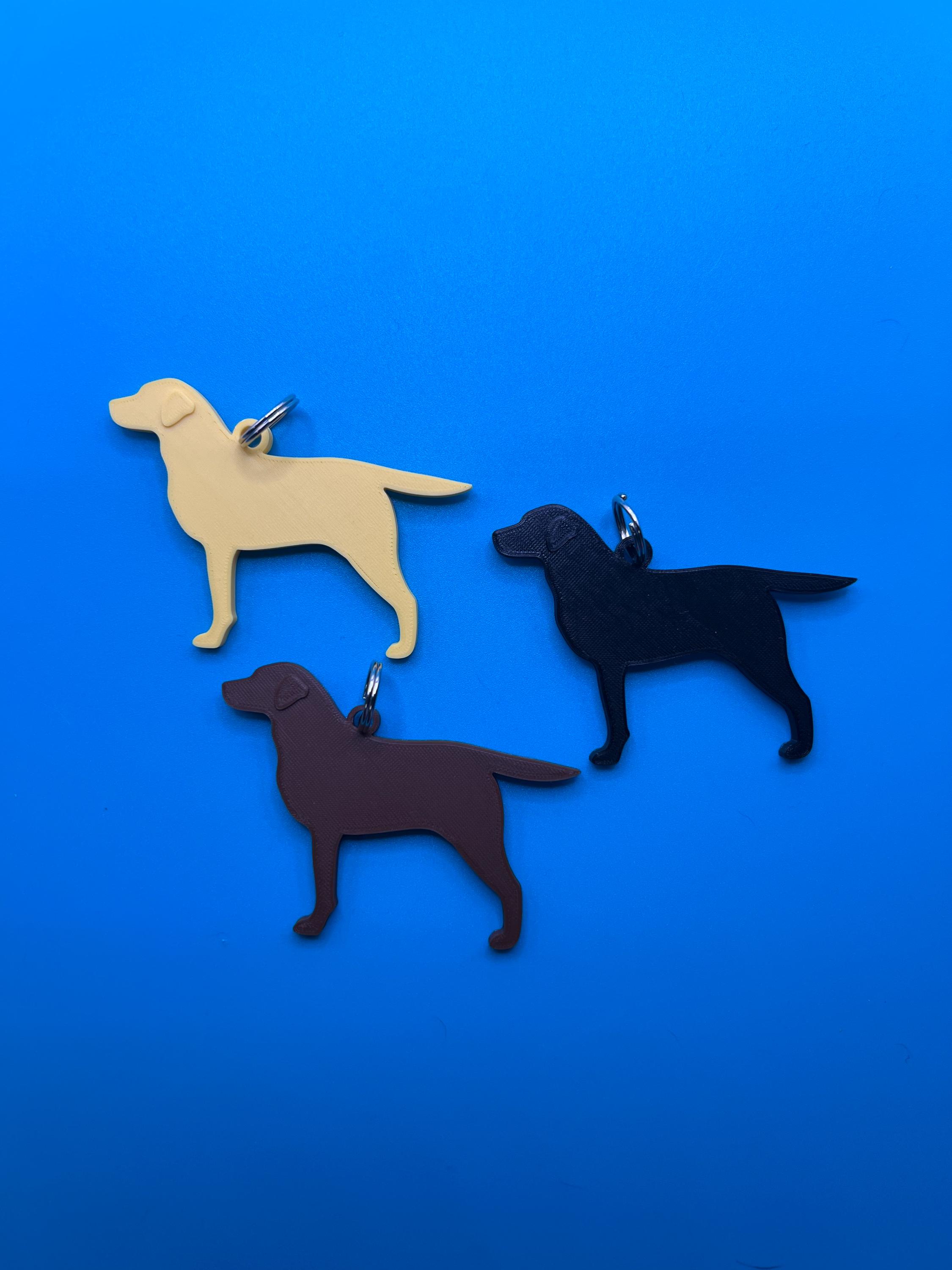 Labrador Retriever Key Chain - Lab - Keychain - Etsy