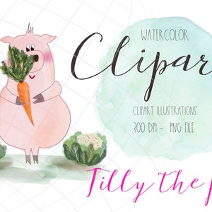 Świnia clipart PNG, wegańska miłość, świnia z marchewką, cyfrowe cliparty, cyfrowe naklejki