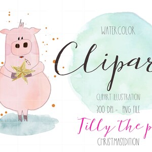 Clipart ilustracja świnia, cliparty ilustracja świąteczna, cliparty boże narodzenie, plik png, gwiazda, cyfrowe cliparty ilustracja świąteczna, zima
