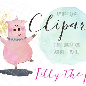 Clipart ilustracja świnia, ilustracja clipart, cyfrowe cliparty świni, plik PNG, szczęśliwego nowego roku, cliparty brylant, fajerwerk, Sylwester, 2021