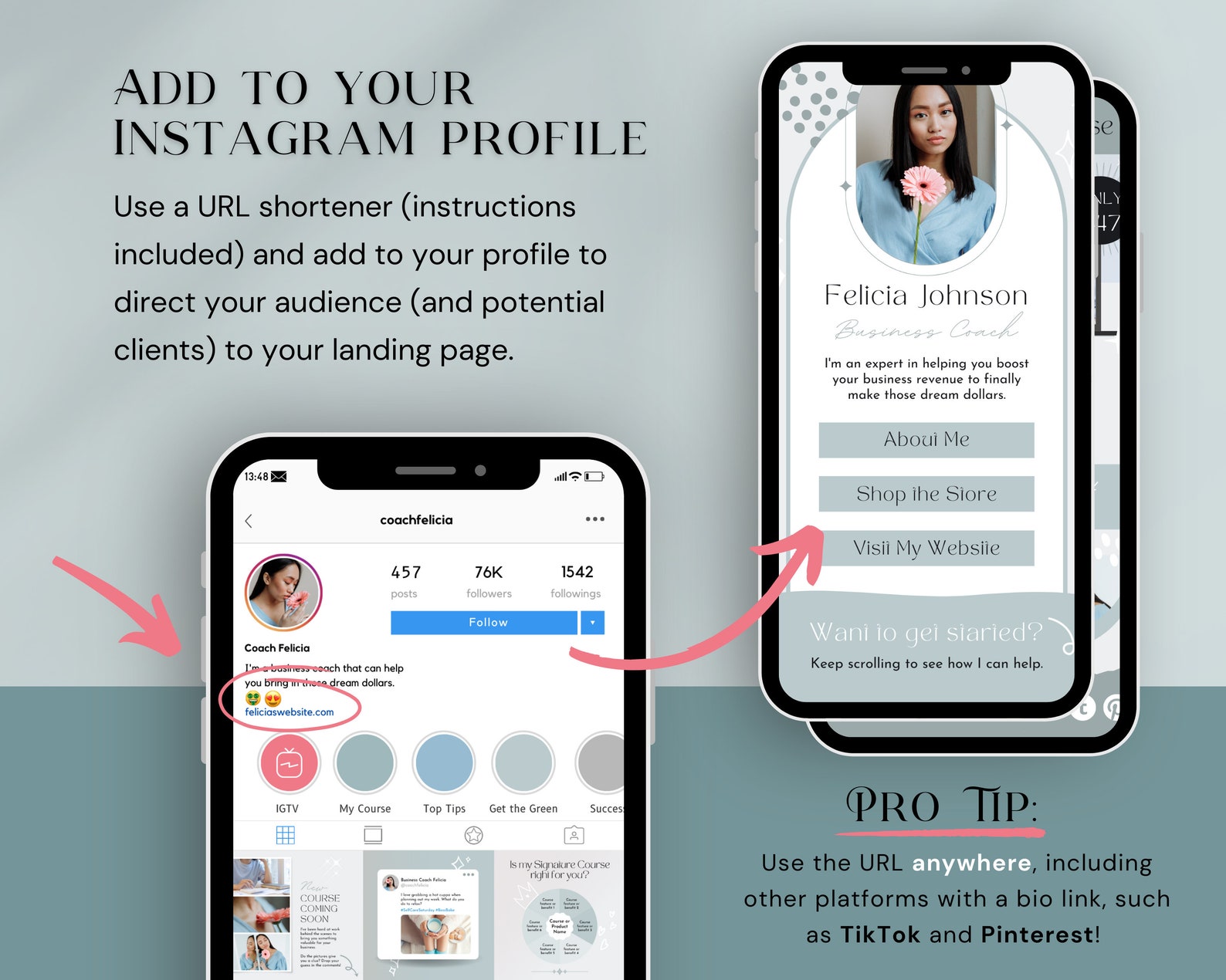 Instagram Link in Bio Landing Page for Business Coaches, IG Bio Link ...