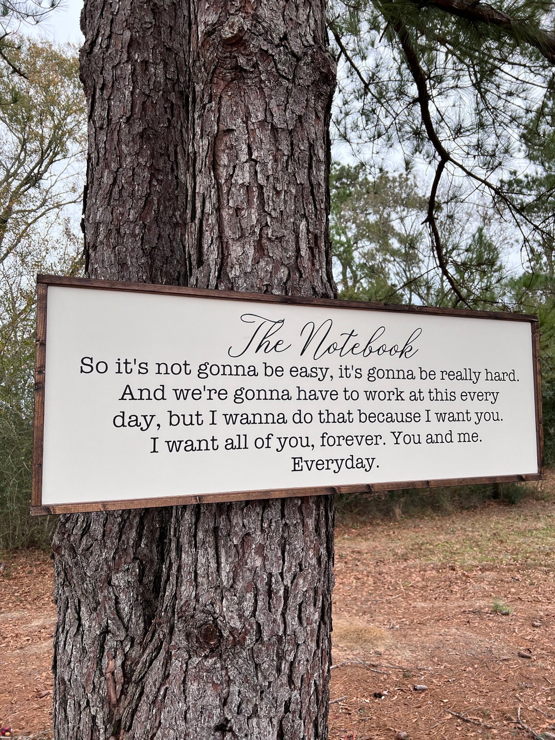 The Notebook - It’s Not Going to Be Easy It’s Going to Be Really Hard ...