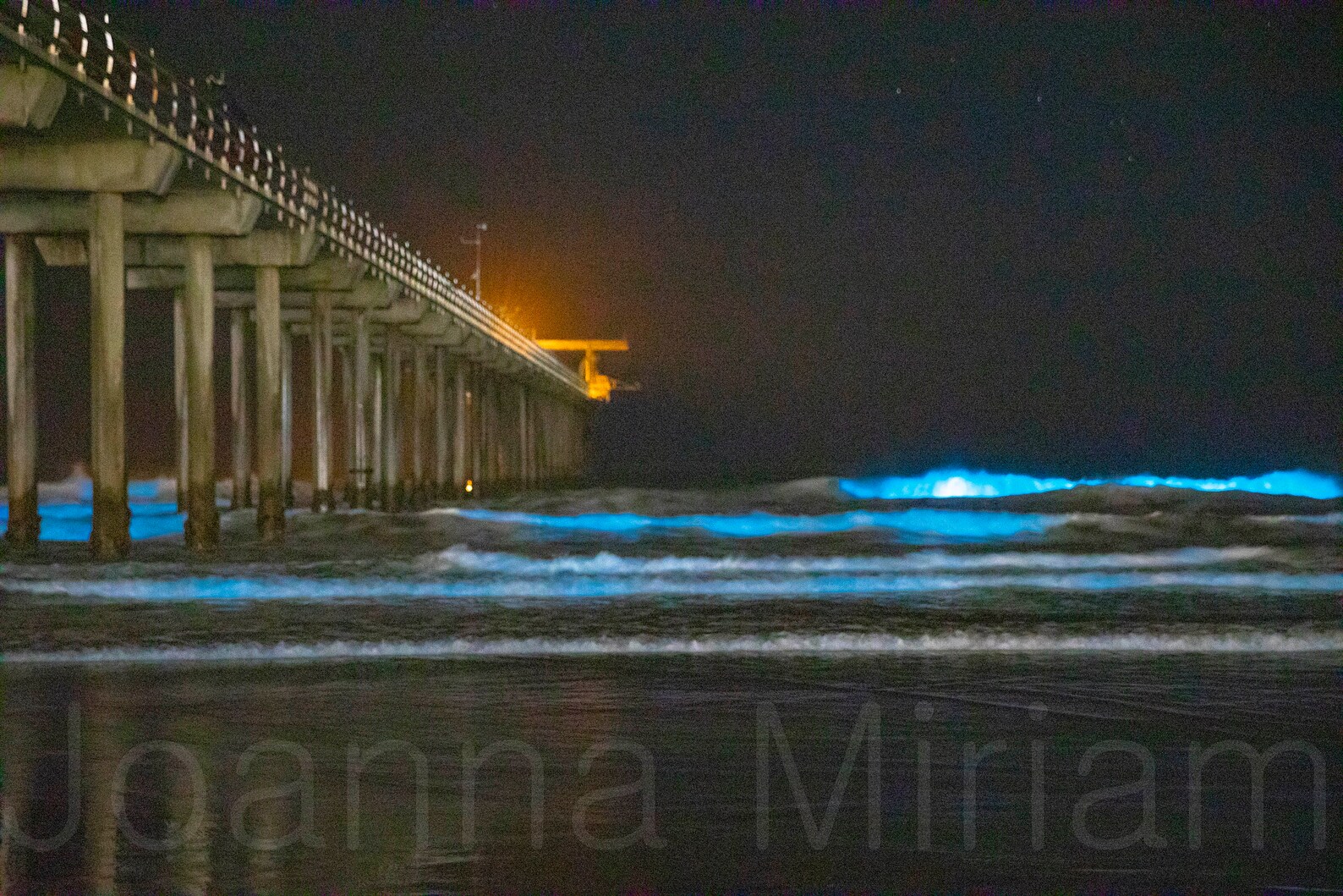 Bioluminescent Waves in San Diego Etsy