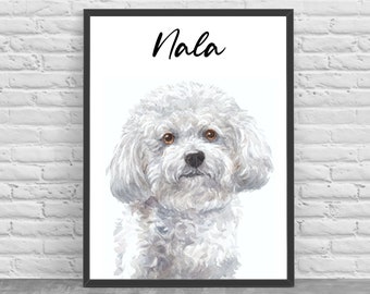 Poster A3 picture BICHON FRISE gift