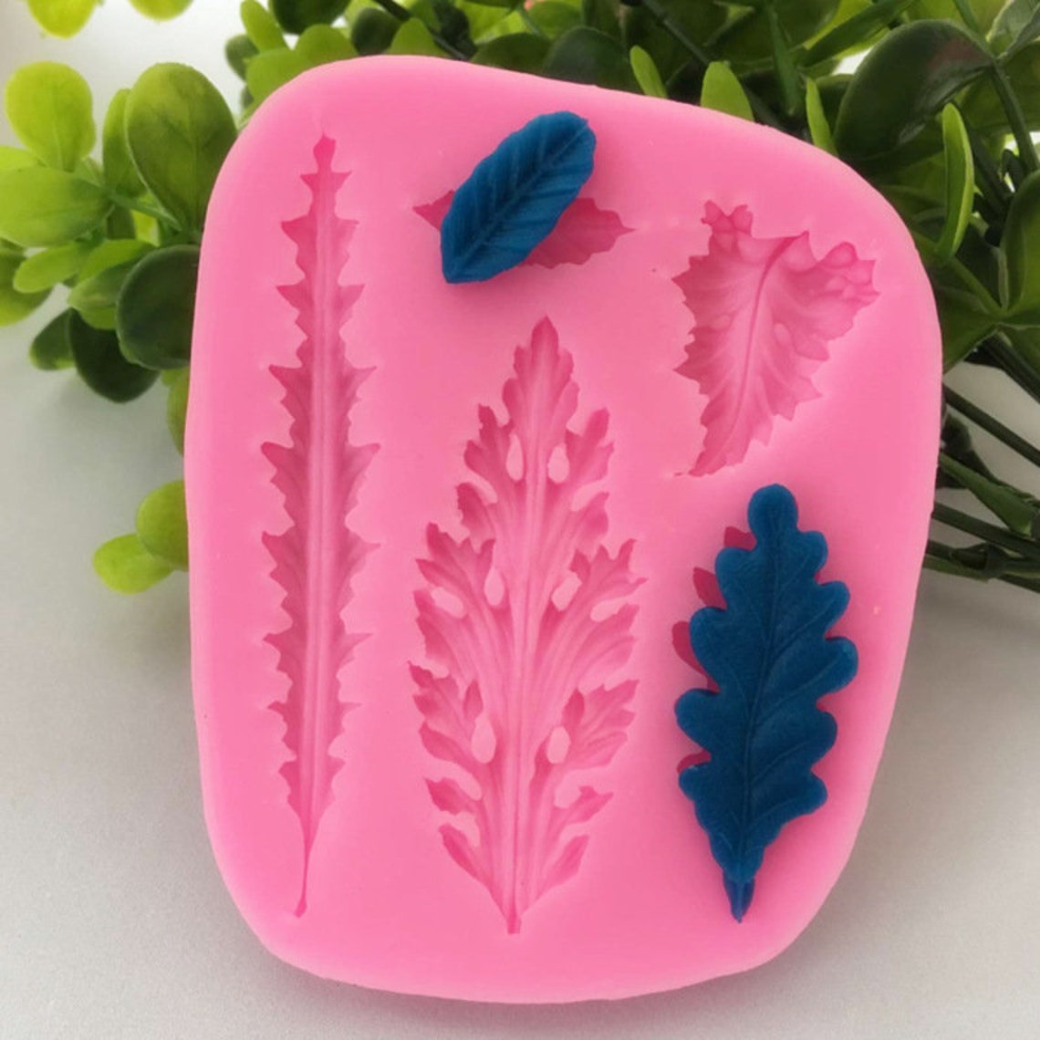 Silicone mold resin clay variety leaves leaf mold decor for Etsy