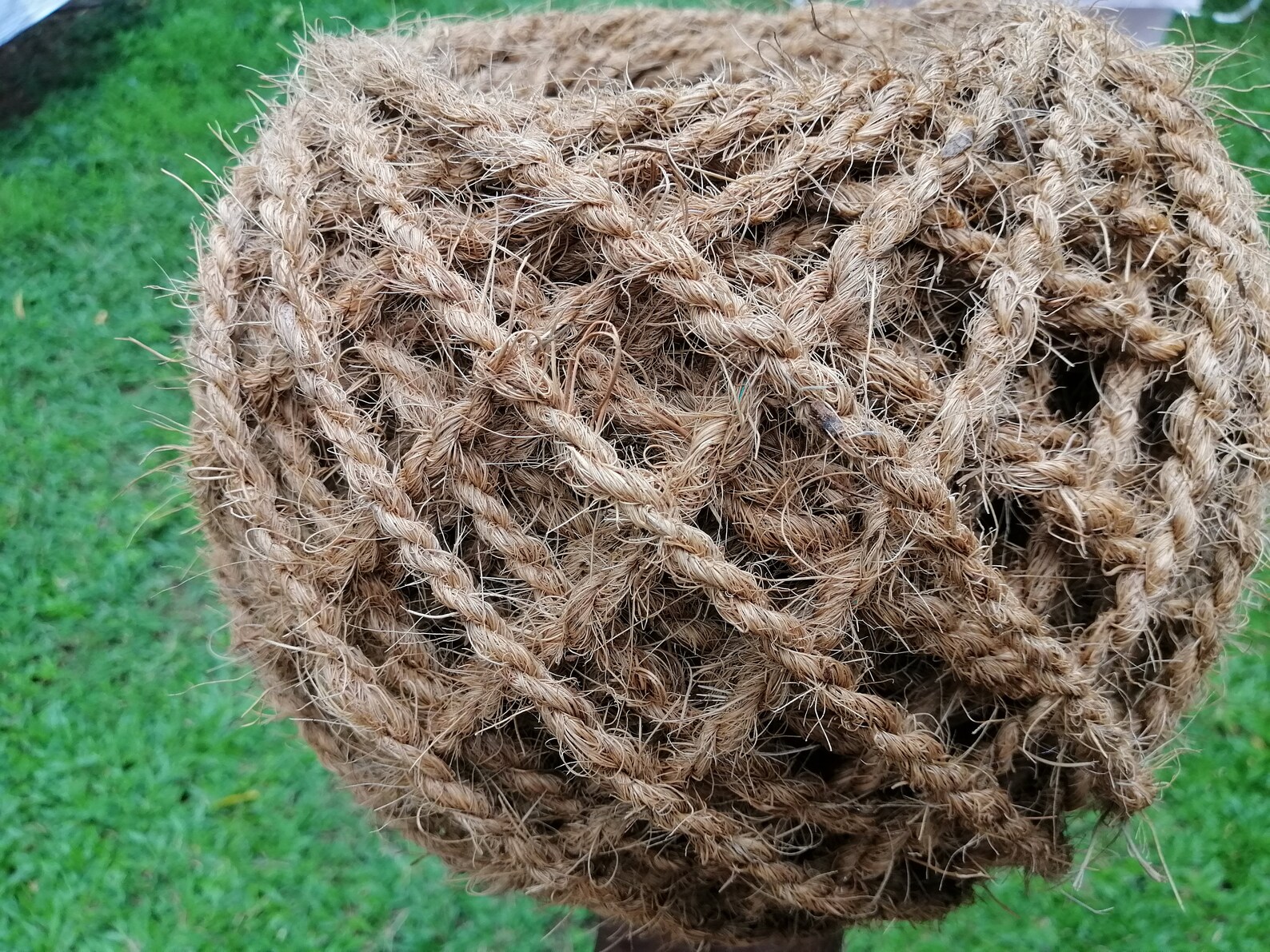Coconut rope natural coir fiber Eco friendly husk handmade Sir Etsy