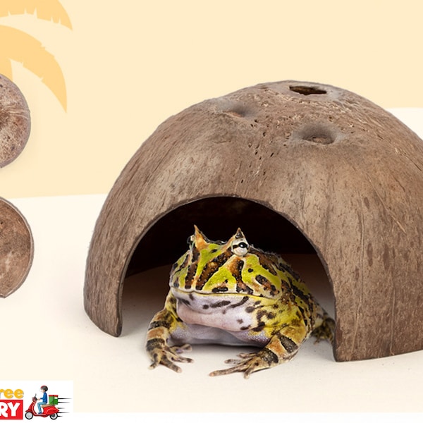 Coconut Hut for Small Reptiles, Aquarium Cave Lizards, Geckos, Frogs, Fish, Hermit Crabs, Hamsters, Mice, Mouse, Gerbils, small animals