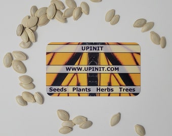 Bulk Beit Alpha Cucumber Seeds
