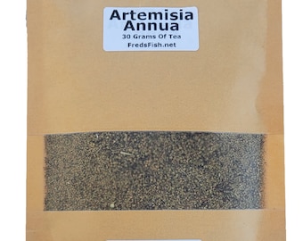 Bulk Artemisia Annua: Seeds, Tea, And Plants