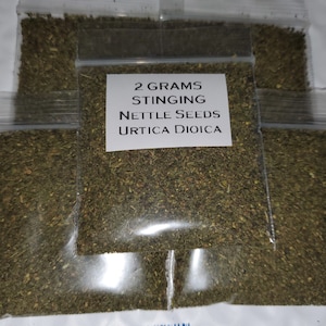 Stinging Nettle Seeds (Urtica Dioica) 2 Grams