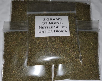 Stinging Nettle Seeds (Urtica Dioica) 2 Grams