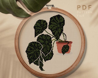 Home plant cross stitch pattern, modern counted cross stitch design, embroidery art, home decor, instant download PDF chart