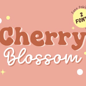 Groovy Font Pairing Retro Font Duo 80s Font Procreate Font Retro Canva font Pairing Hippie Font Handwritten Vintage Font Calligraphy Boho