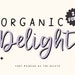 Handwritten Script Font Bundle Sweet Cursive Font Scrapbook Font Canva ...
