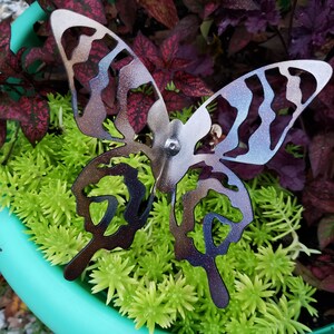 May include: A metal butterfly garden decoration with a iridescent finish. The butterfly is perched on a bed of green succulents.