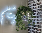 Disco Ball Plant Hanger