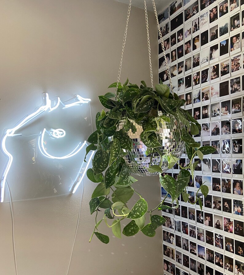 Disco Ball Plant Hanger Etsy