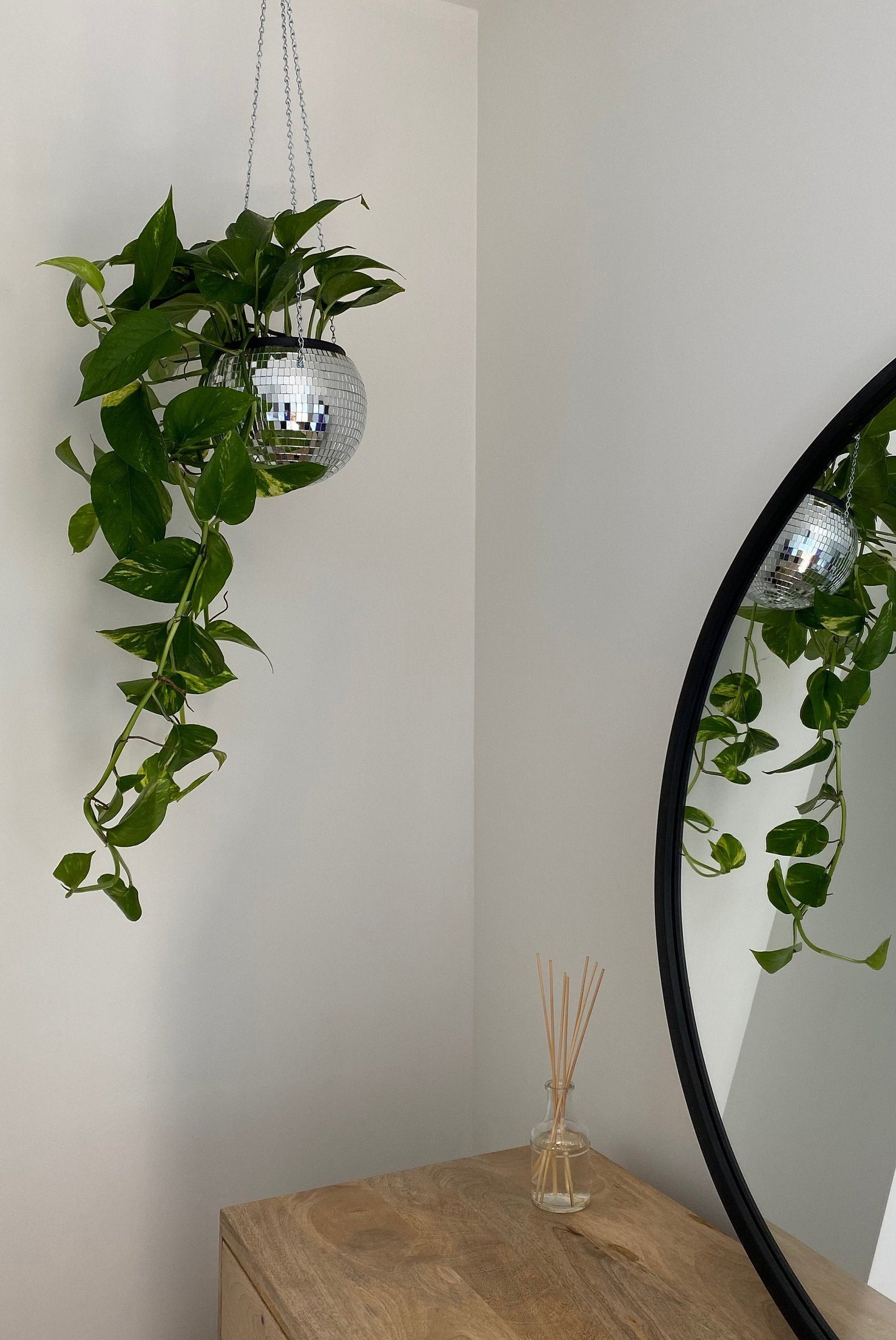 Disco Ball Plant Hanger Etsy
