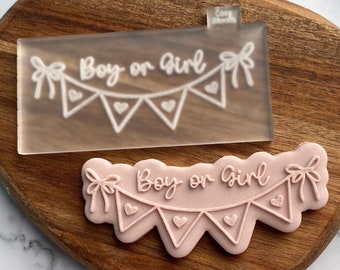Jongen of meisje Bunting Cookie Embosser Stempel en Cutter Gender Reveal Embosser Stempel Fondant Biscuit Decoreren