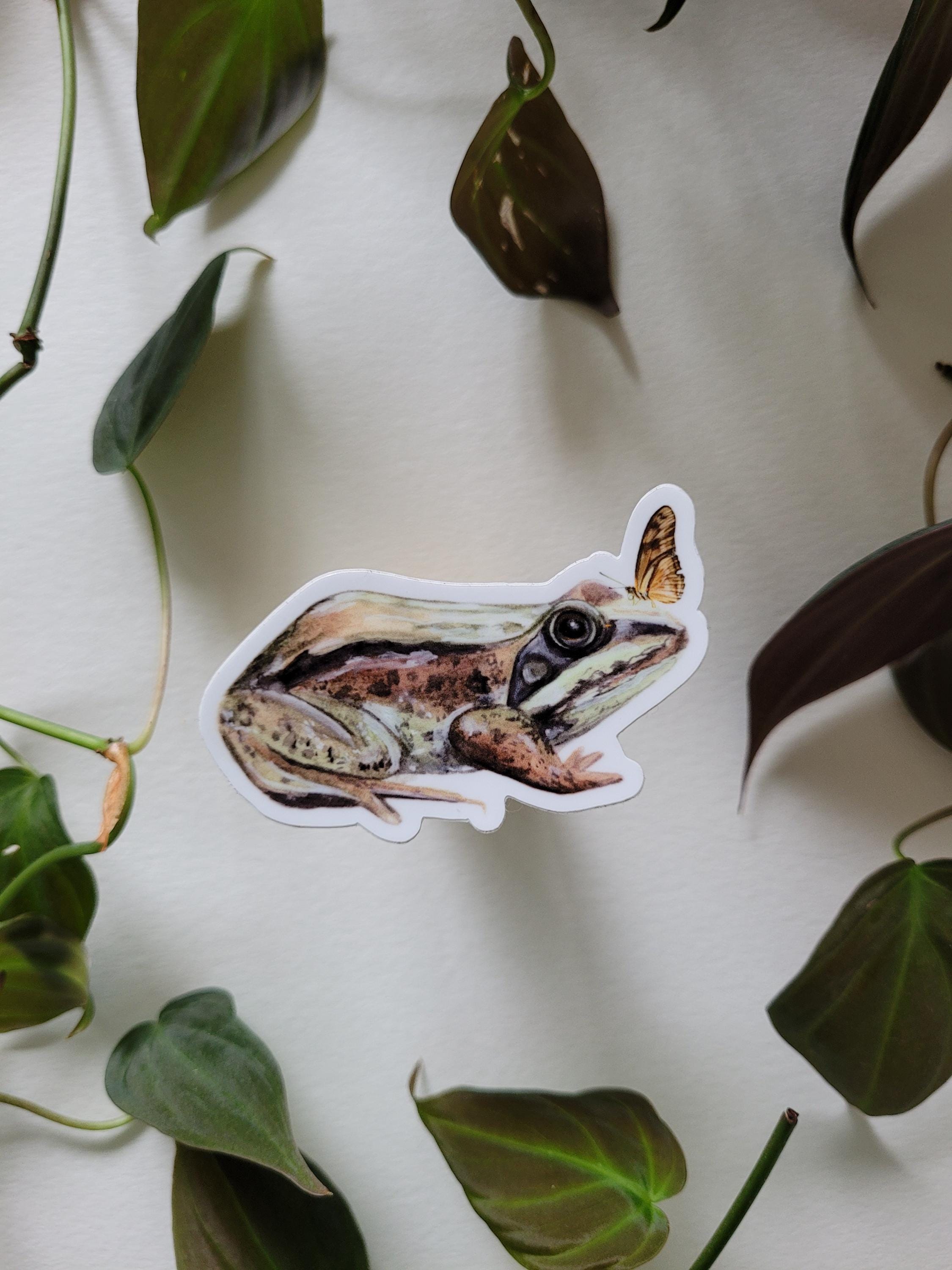 Rough Rider Toad Sticker Western Toad Sticker | Frog Sticker | Toad Sticker | Nature Sticker ...