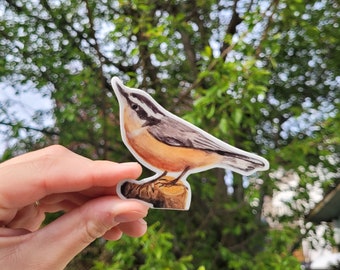Red breasted Nuthatch sticker | Bird sticker | Nature sticker | Nuthatch sticker | Laptop decal