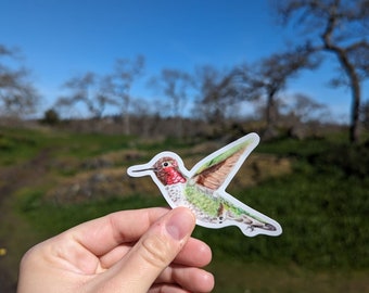 Humming bird sticker | Humming bird | Bird sticker | Wildlife sticker | Nature sticker | Laptop decal | Bumper sticker
