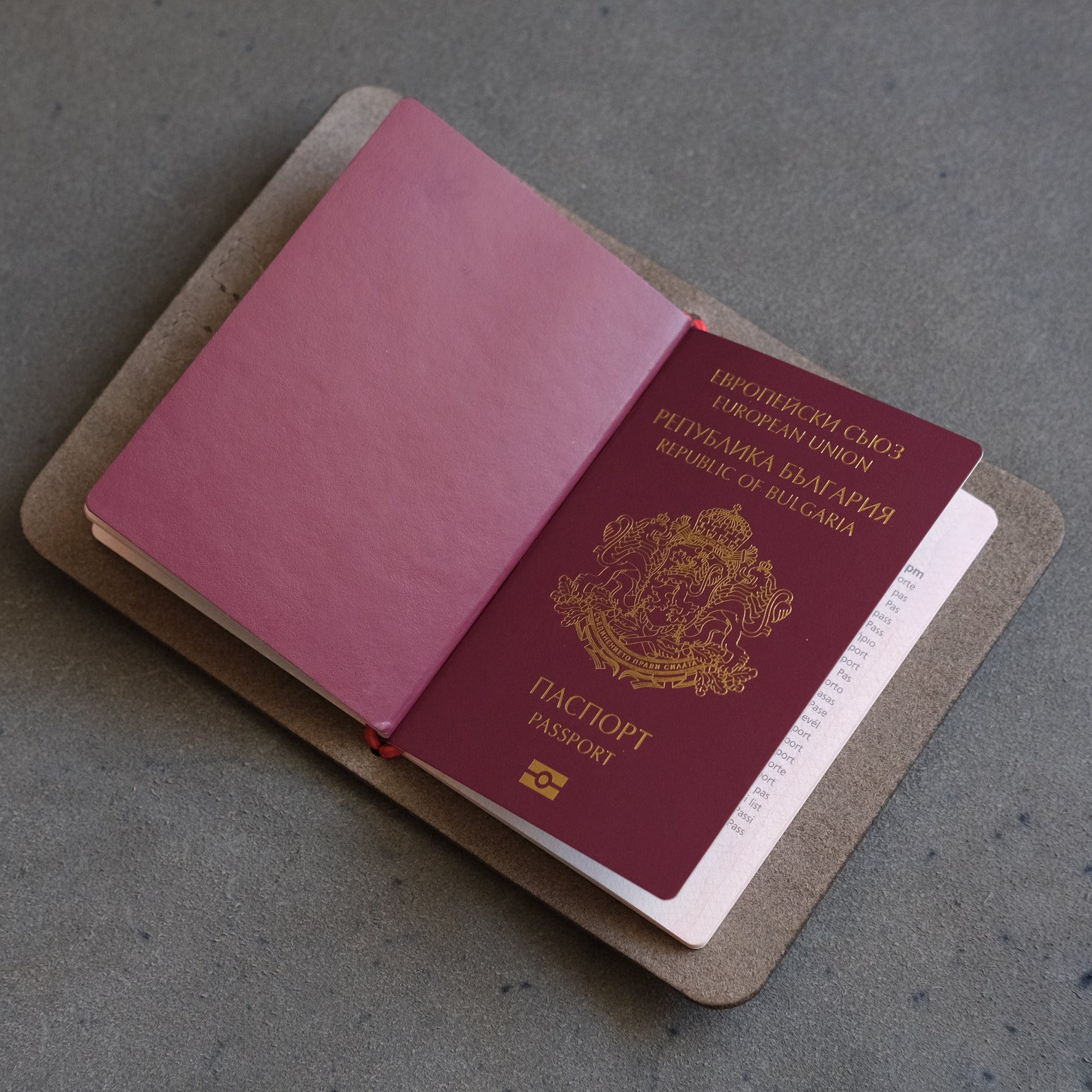 The Sail Passport Cover Pdf Pattern Passport Holder Template Etsy